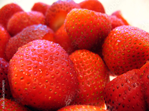 Fresh Strawberries