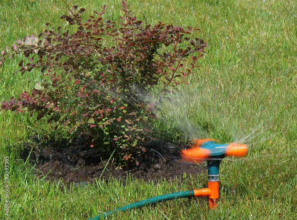 Moving streams sprayer watering of green grass lawn 2 Moving streams sprayer watering of green grass lawn 2