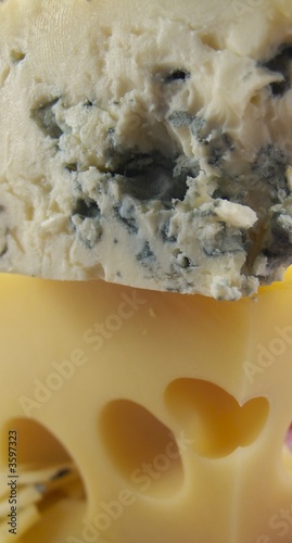 Maasdam Cheese and cheese with mould