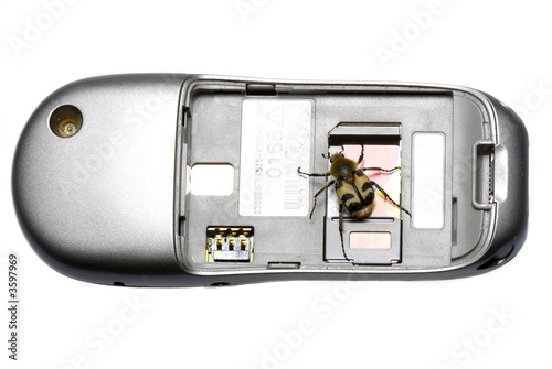 The bag in the cellular phone