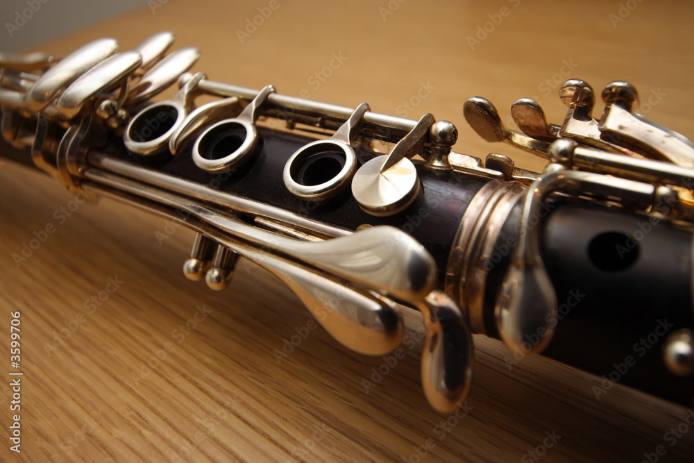Obraz premium Clarinette