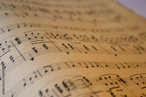 music notes wave