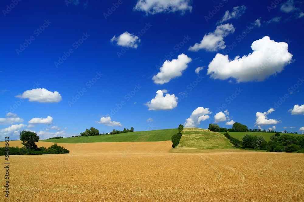 Fototapeta premium beautiful look on landscape in summer