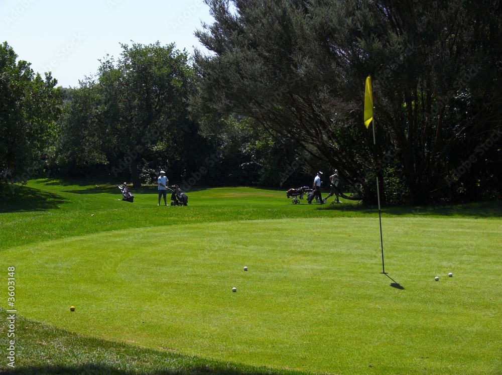 Obraz premium golf asta bandiera carrelli