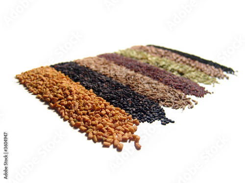 8 raws of Indian spices. Isolated on white