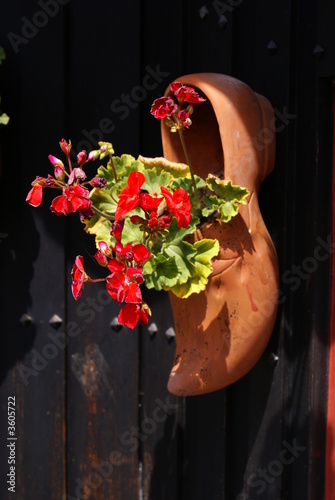 Décoration du jardin