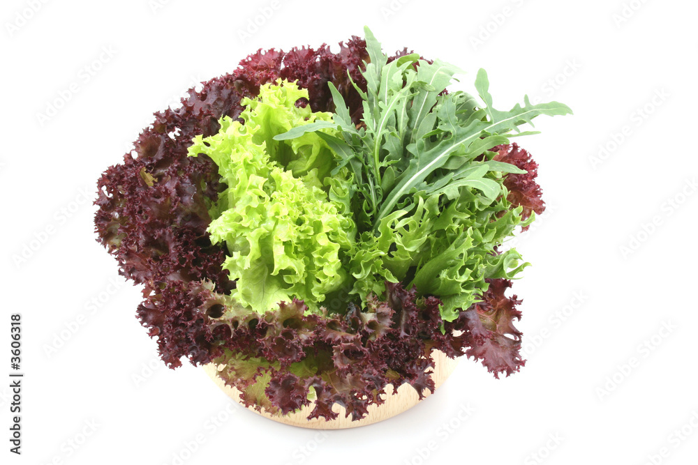 bowl of fresh different lettuces isolated on white bowl of fresh different lettuces isolated on white