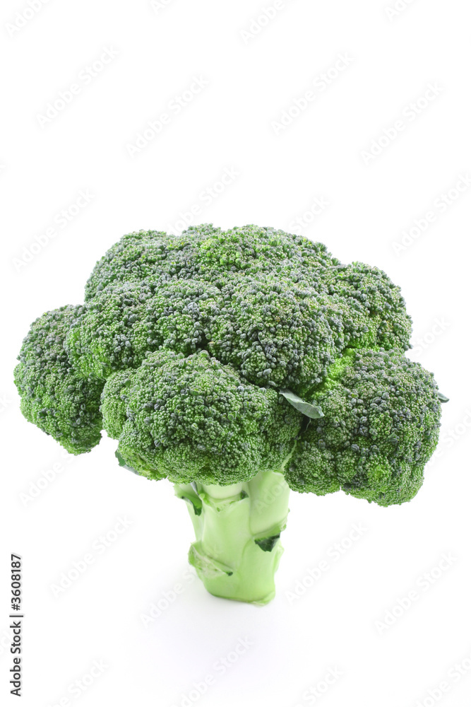 fresh green broccoli isolated on white fresh green broccoli isolated on white