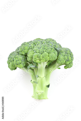 fresh green broccoli isolated on white