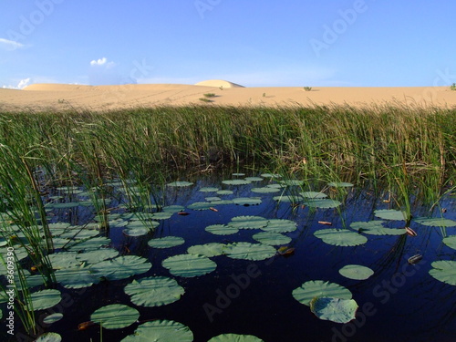 Lac naturel dans un desert © J-F Perigois