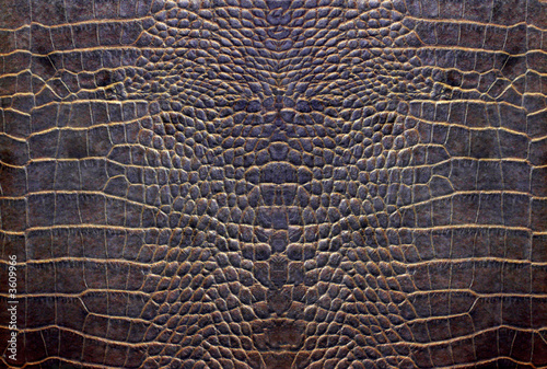 cuire crocodile