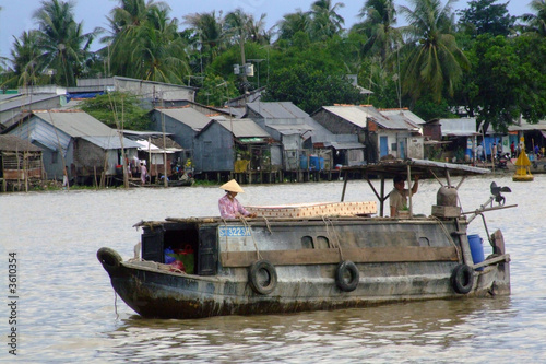 Navigation dans le delta du Mekong, Vietnam