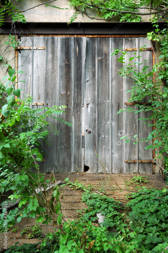 Overgrown doorway at an abandoned grain elevator Overgrown doorway at an abandoned grain elevator