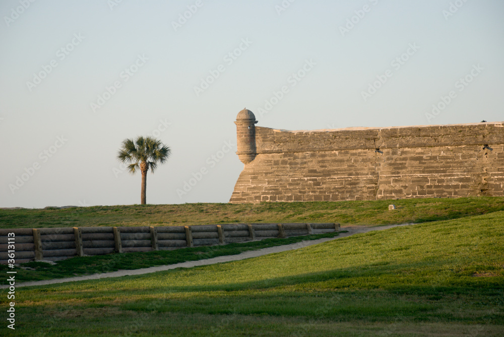 Fort wall, turret and palm tree