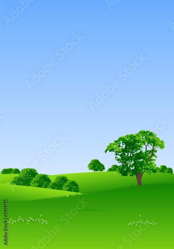 Summer landscape