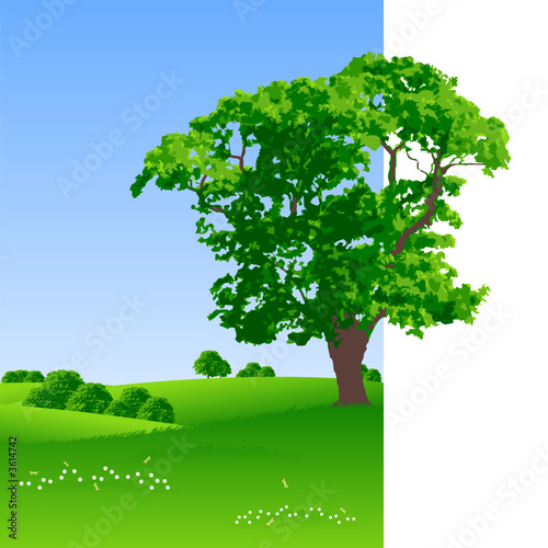 Summer landscape with trees and flowers vector illustration