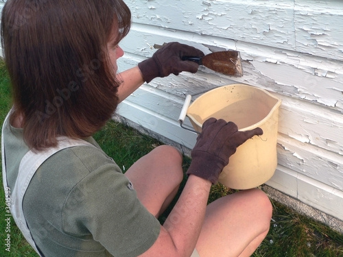 Paint scraper