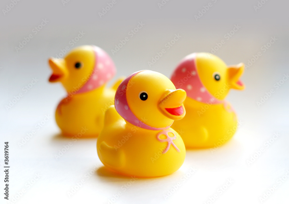 Ducks Ducks