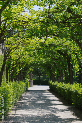 Konstfotografi Gartenweg