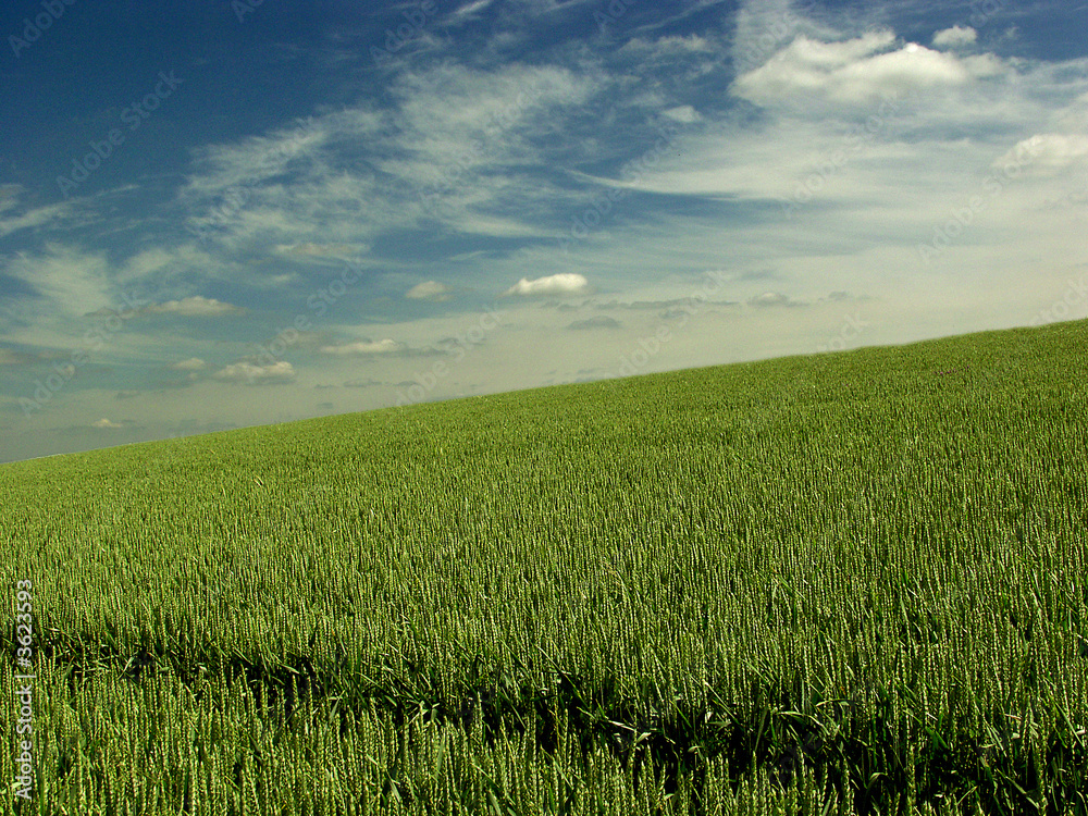 Obraz premium Landwirtschaft
