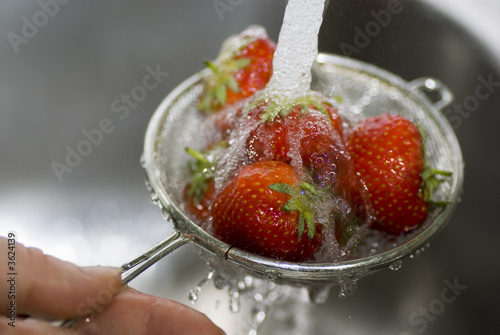 Erdbeeren im Sieb werden unter einem Wasserstrahl gewaschen photo