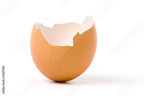 an eggshell with white background