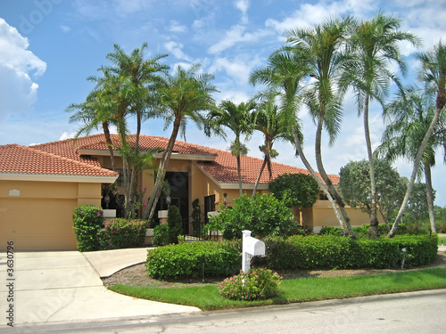 Large upscale house with many palm trees.