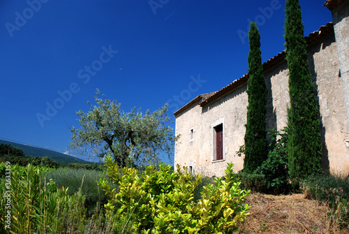 Landschaft in der Provence photo