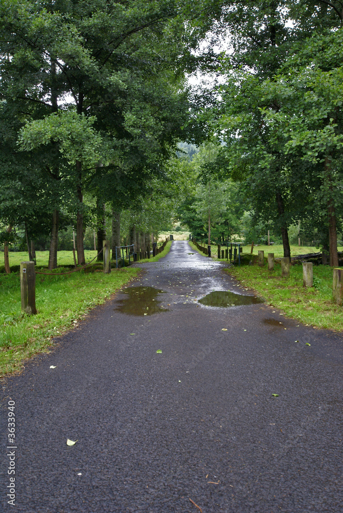 route muoillée