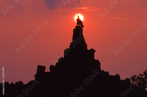 Das Fliegerdenkmal auf der Wasserkuppe photo