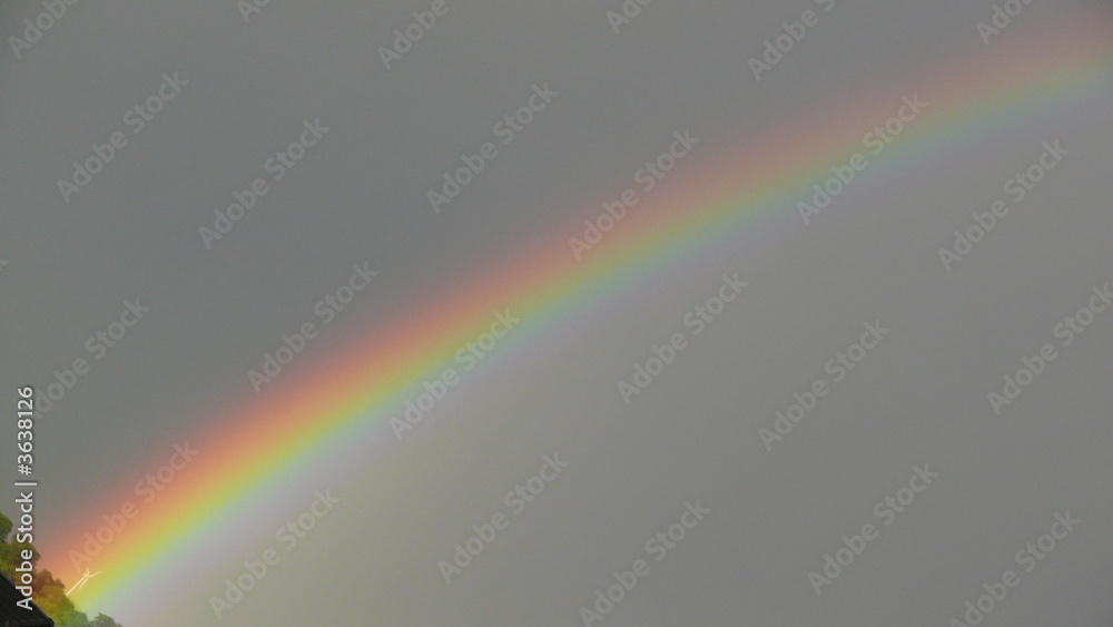 Fototapeta premium Regenbogen