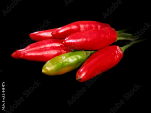 Red hot chili pepper close up on black background
