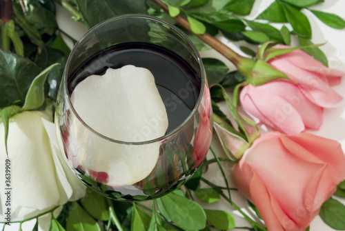 white rose-petal