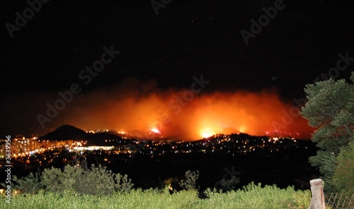 juillet2007 feux de forets a mandelieu photo