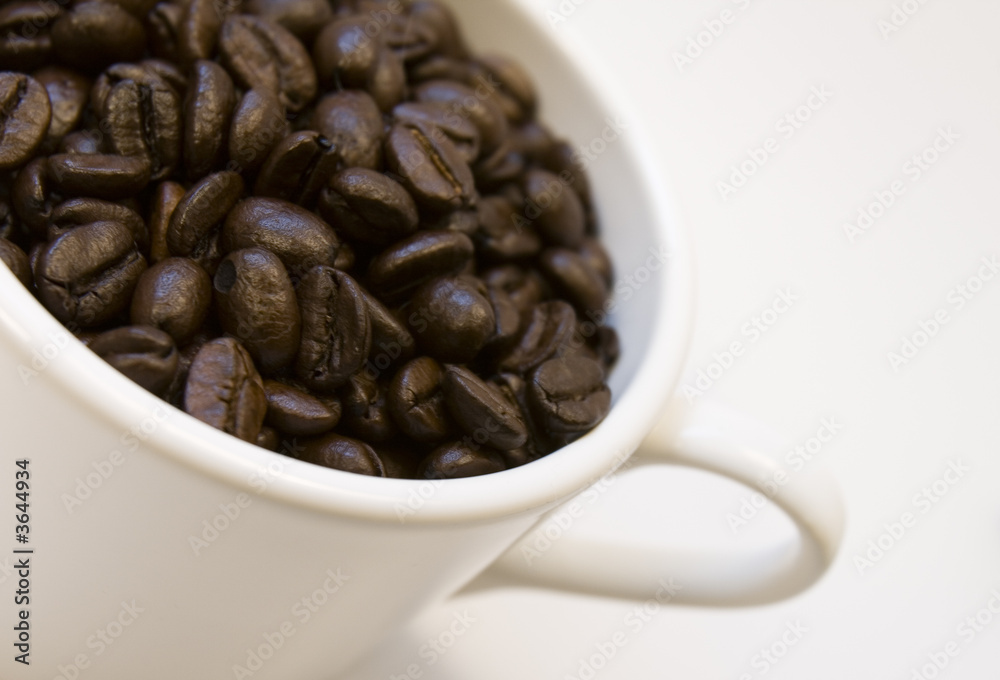 Coffee beans and white cup Coffee beans and white cup