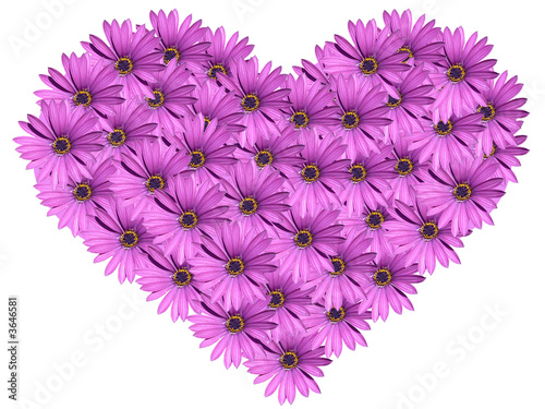 floral heart