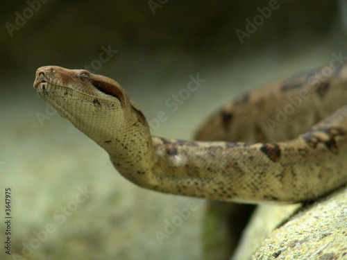 fotolia_31