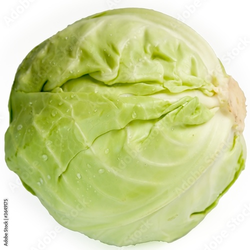 cabbage-head