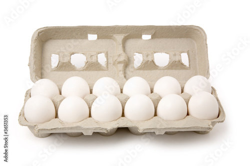 white eggs in carton with white background