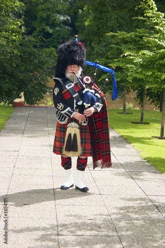 Fototapeta A Scottish bagpiper in full highland kilt dress and beard
