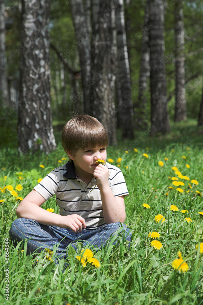 Young boy sitting in the midle of the blossoming meadow