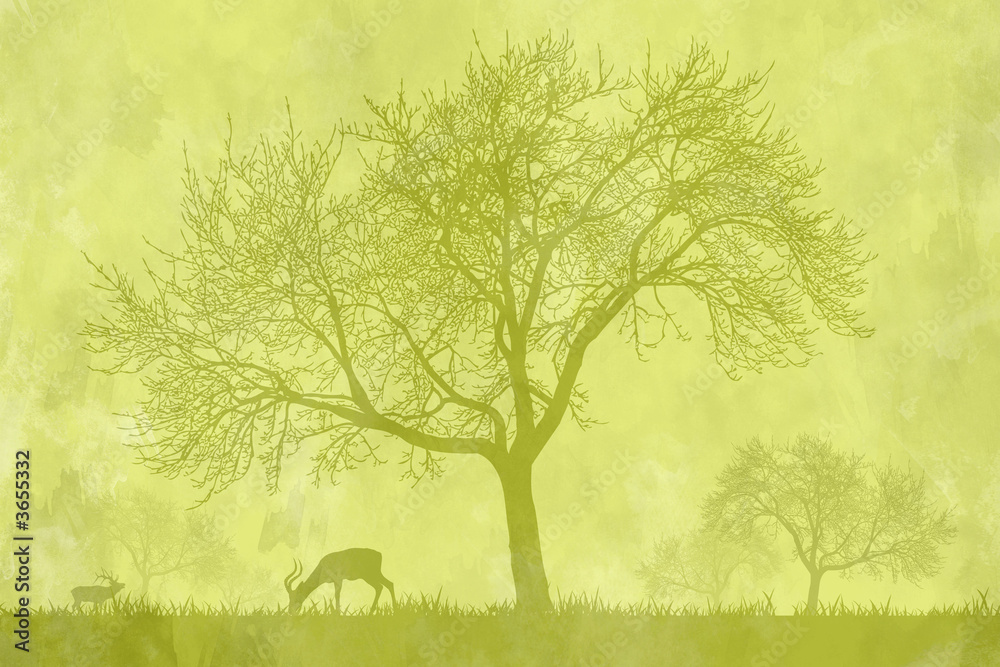 Fototapeta premium Natura - Bosco