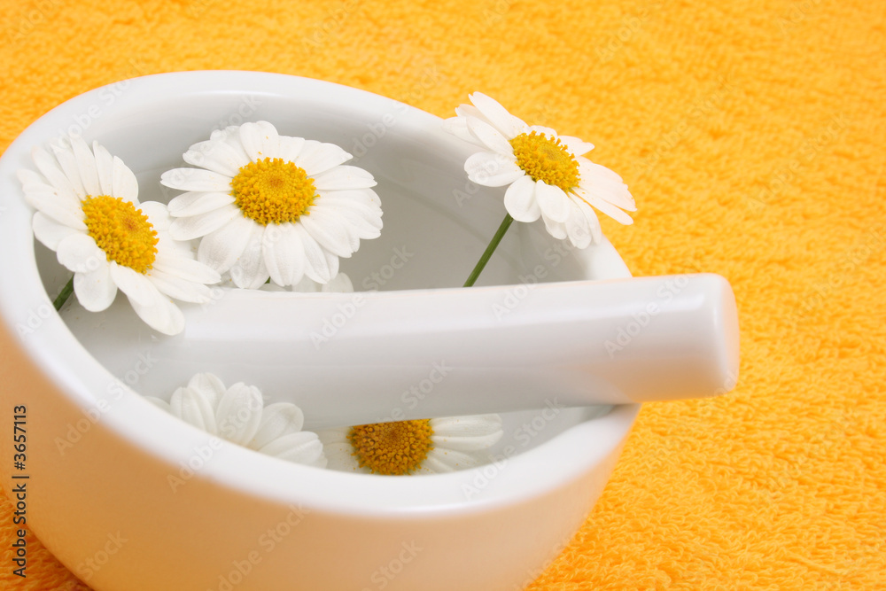 camomile and mortar and pestle - beauty or health treatment camomile and mortar and pestle - beauty or health treatment