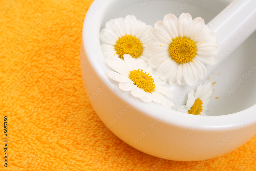 camomile and mortar and pestle - beauty or health treatment camomile and mortar and pestle - beauty or health treatment