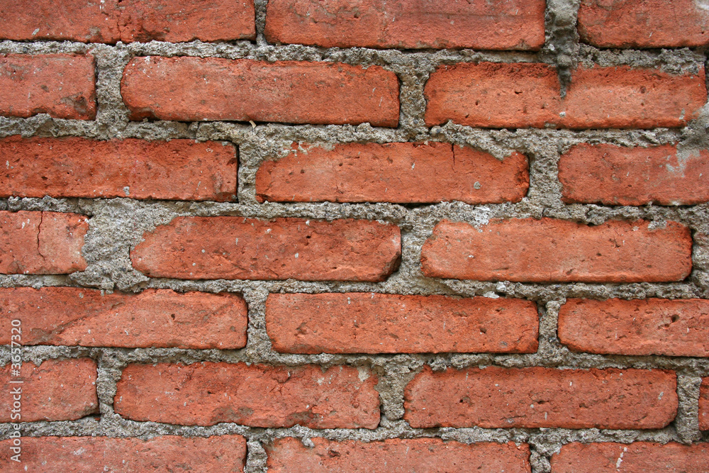 Muro Muro