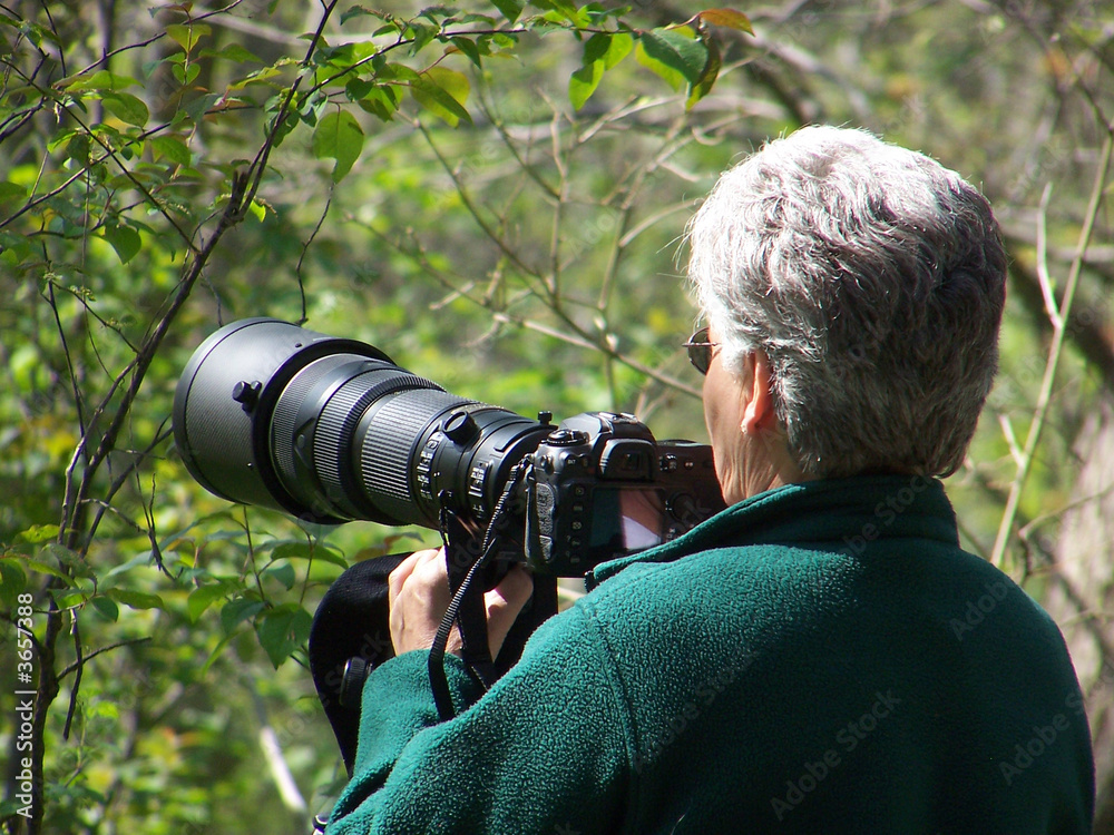 Wildlife Photographer