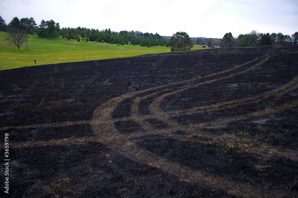 Burned landscape after paririe fire.