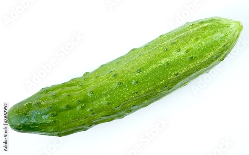 cucumber