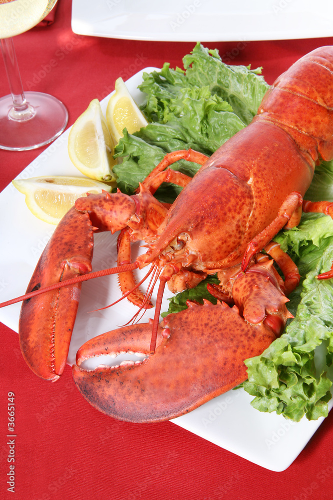 A lobster dinner with wine at a restaurant A lobster dinner with wine at a restaurant