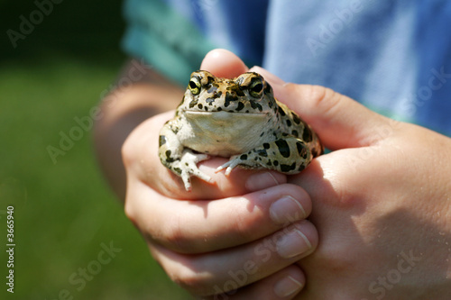 Youth holds a frog